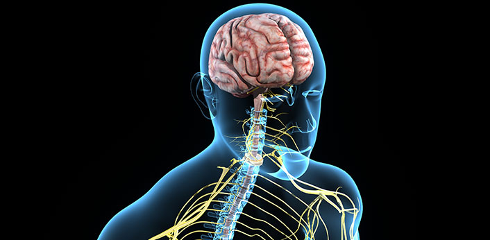 italo-teles-imagem-interna-Hemangioblastoma